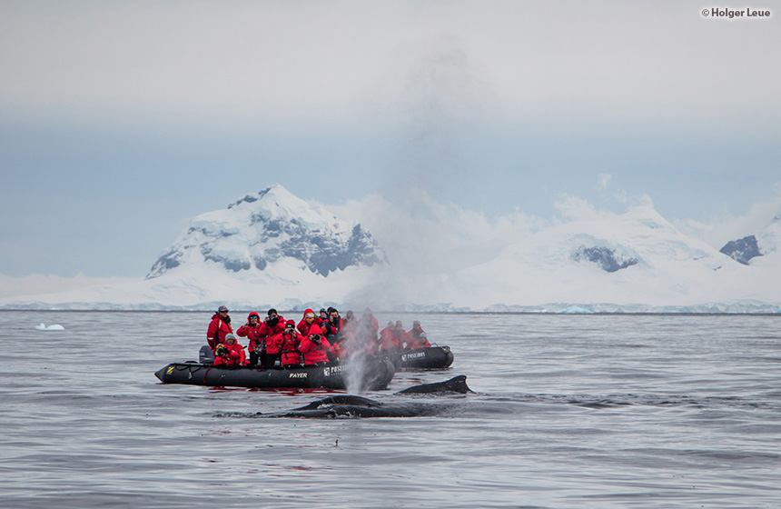 Antarctic_2021_01_Abenteuer und Wildtiere